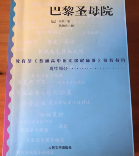 《巴黎圣母院》 仅外封有放置痕迹 内页无损...
