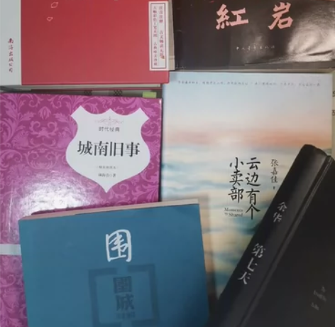 红楼梦 围城 城南旧事 红岩    余华第...