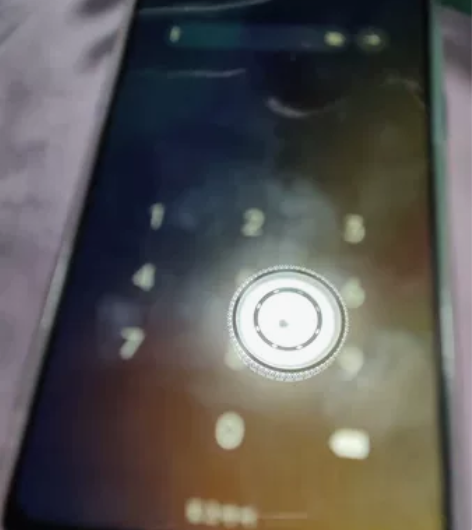 opporeno ace  12+256 ...