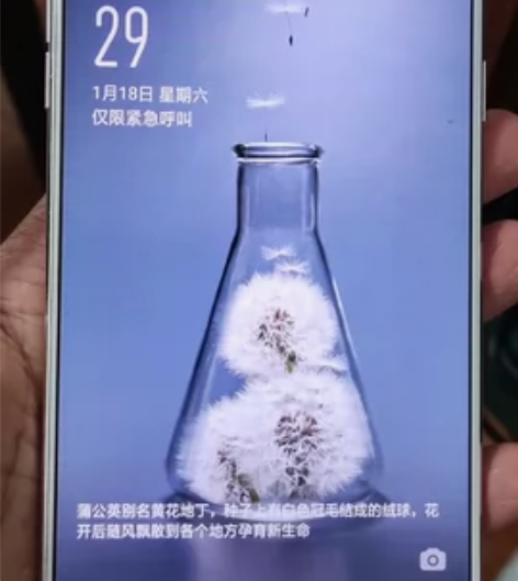 OPPO R11 Plus 6G+64G ...