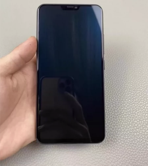 vivox20本人自用 无拆无修功能正常无...