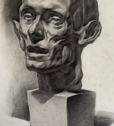 素描。素描 8k  素描石膏静物作品，低价...