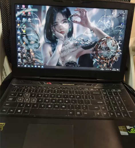 机械革命x6ti，i5处理器，8g内存，1...