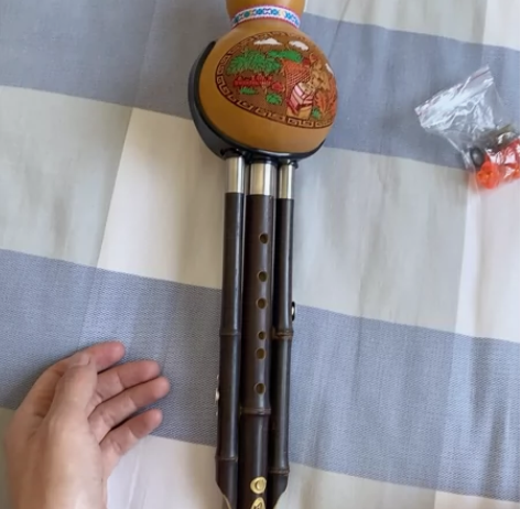 琴行不做了 全新葫芦丝低价出！低价出！ 还...