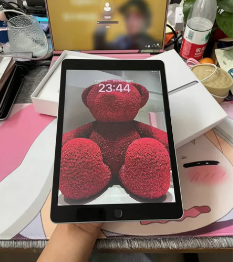 闲置便宜出ipad2021款九代256内存...