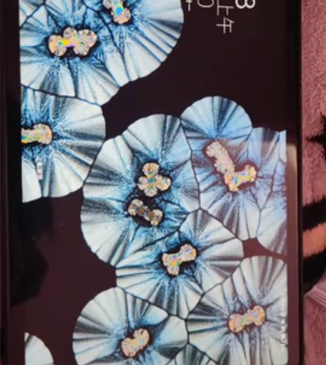 小米平板5ProWiFi版 白色 8+25...