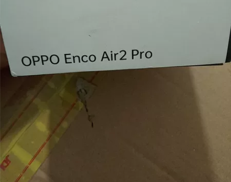 OPPO OPPO Enco Air2Pr...