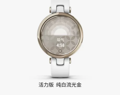 ?Garmin/佳明 智能手表 感兴趣的话...