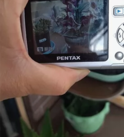 出售一部宾得相机，成色如图还挺好，正常拍照...