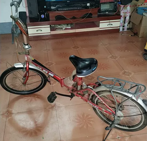菲利普折叠自行车，买来几乎没骑过，一直放着...