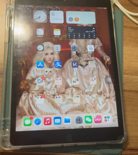 Apple/苹果 ipad 2020 感兴...