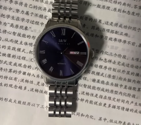 瑞士I##amp；amp；W手表男机械表全...