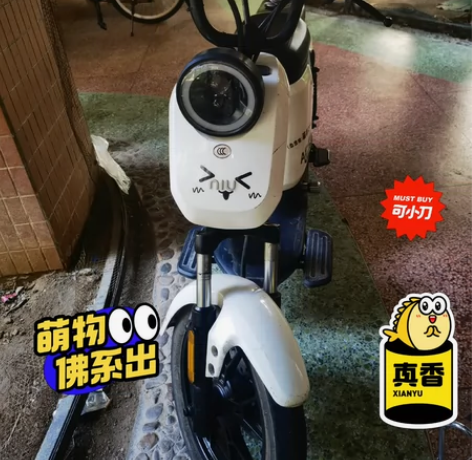 小牛US白色，深圳南山，个人用车，当年四千...