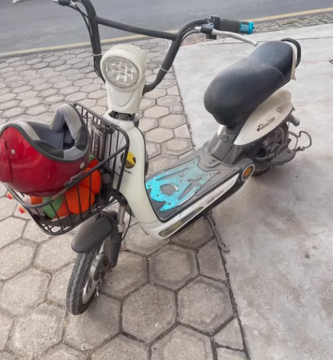 飞鸽电动车 三年没骑 需要重新换电瓶 没有...