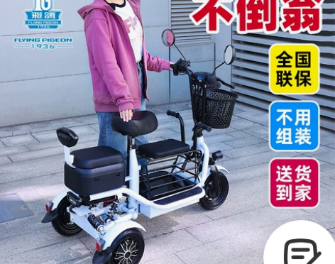 飞鸽电动三轮车家用小型接送孩子男女士老年人...