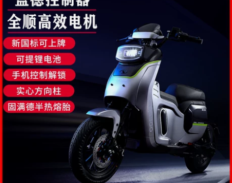 格士铃骑士300新国标电动自行车全顺电机外...