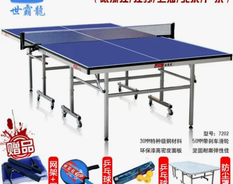 台湾世霸龙 标准乒乓球台家用乒乓球桌…二手...