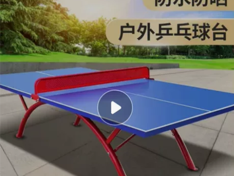 红双喜标准乒乓球桌，海港区道南市内500元...