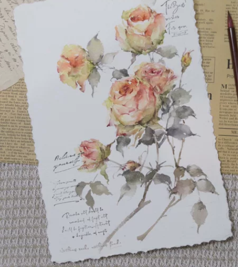 水彩 ｜ 复古玫瑰 水彩纸：宝虹艺术家 中...