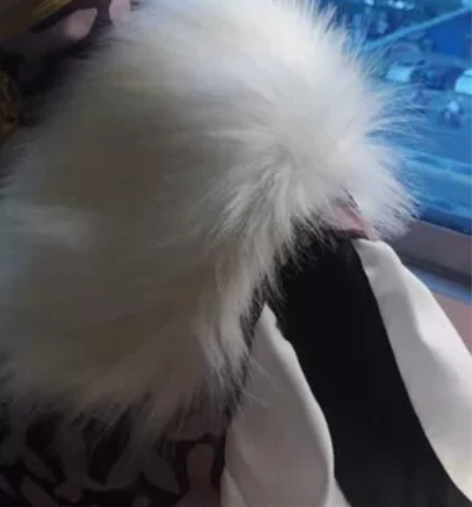 王者荣耀花木兰cos 花木兰冠军飞将cos...