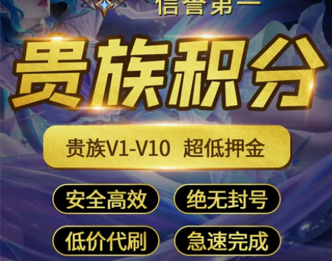 王者送荣耀贵族积分代升贵族V8V10升贵