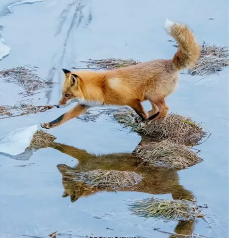 【出】新世界狂欢 伊得 玖夜 小狼 可尔 ...