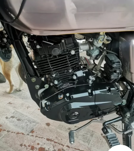 春风五档狒狒 老款复古绝版款，改色已备案，...