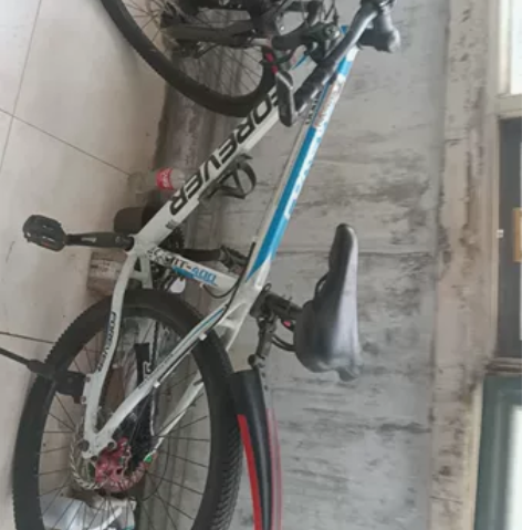 永久自行车 感兴趣的话点“我想要”和我私聊...