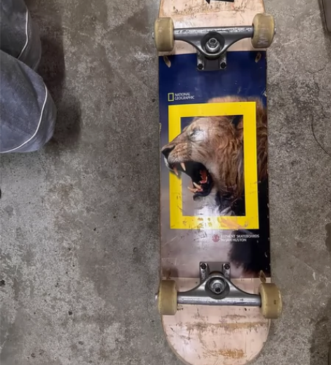 王一博同款element国家地理联名限量狮...