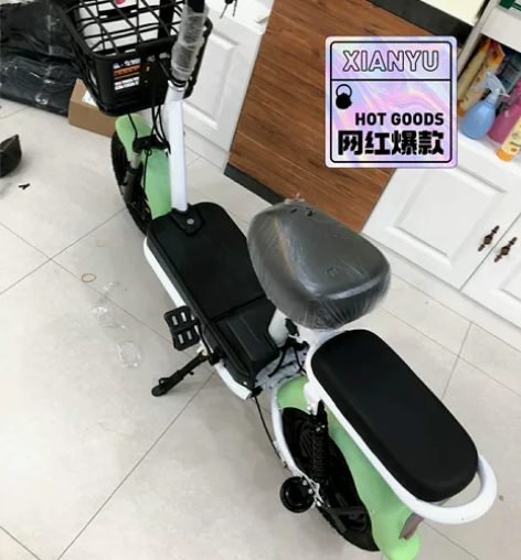 【清仓处理】全新新国标电动车玛雅迪同款锂电...