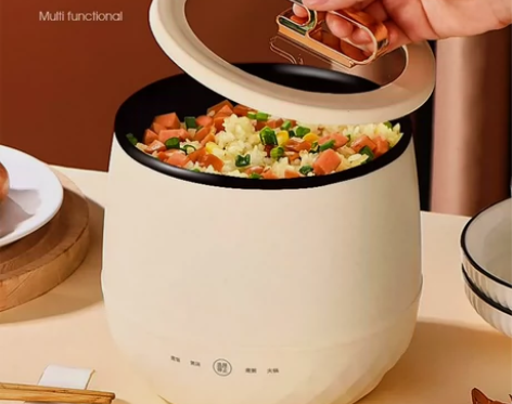 德国迷你电饭煲1一2人家用小型多功能宿舍电...