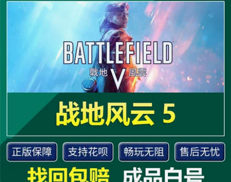 steam战地风云5 Battlefiel...