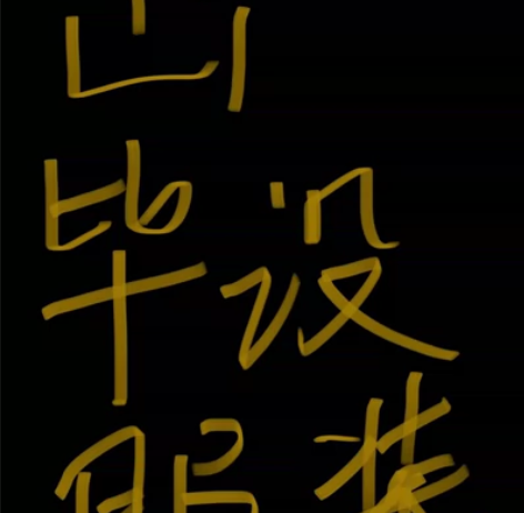 五套成衣?样衣?纸样?效果图?款式图?面料...