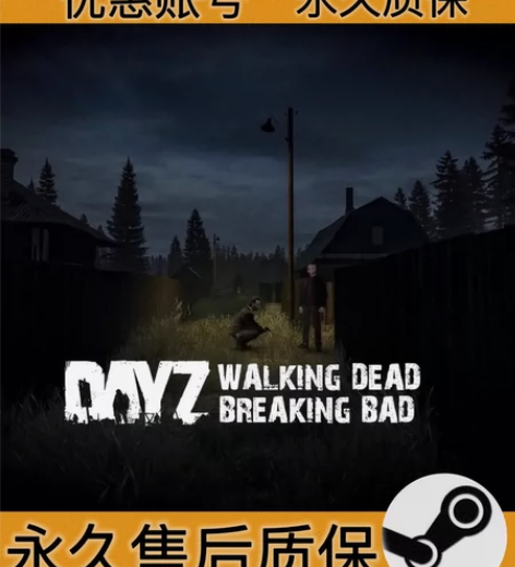 DAYZ 账号 不可改 包售后 pc正版 ...