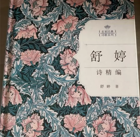 舒婷，仓央嘉措 诗编， 汪国真，纳尼亚传奇...