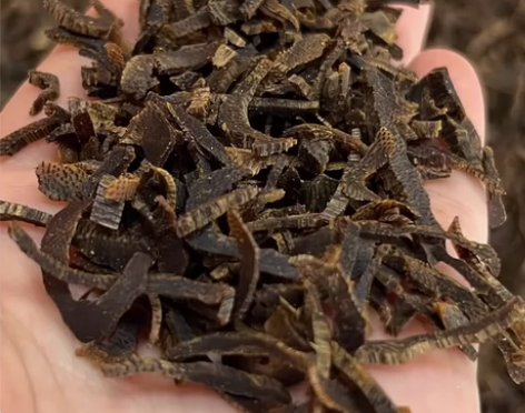 【沉水奇楠切丝】泡茶煮水熏香 稀有品质奇楠...