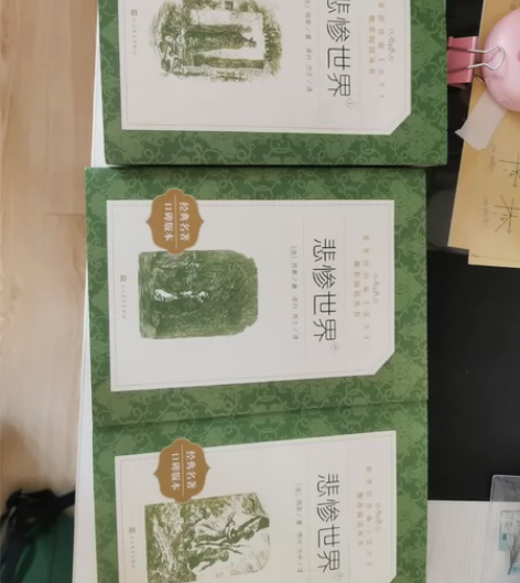 高中必读书 悲惨世界 25一套全新￥25