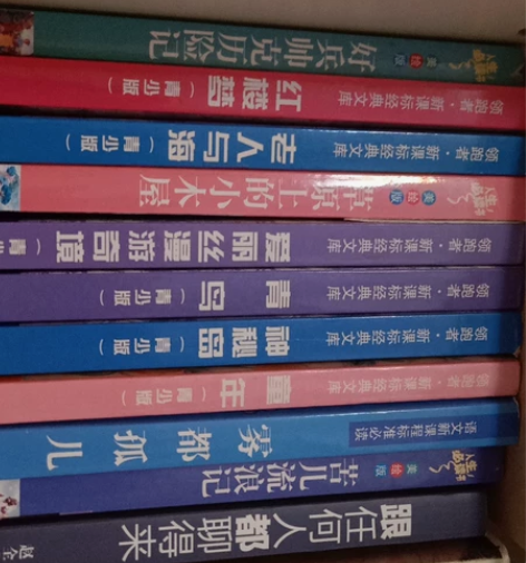 好兵帅克历险记，红楼梦，老人与海，草原上的...