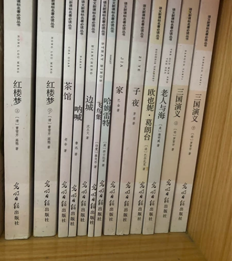 语文新课标名著必读丛书 初高中青少年必读名...