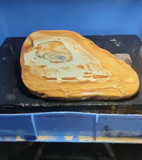 端砚石料 木纹石 平板砚台 天然花纹非常好...