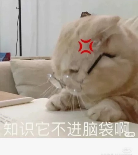 C语言Java，python，C++答疑开...