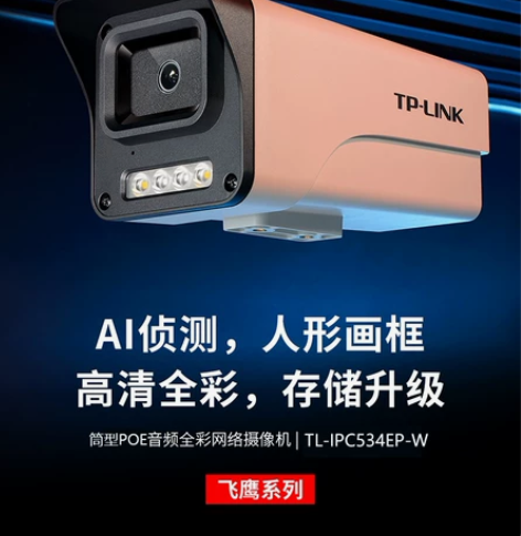 TP-LINK TL-IPC534EP-W...