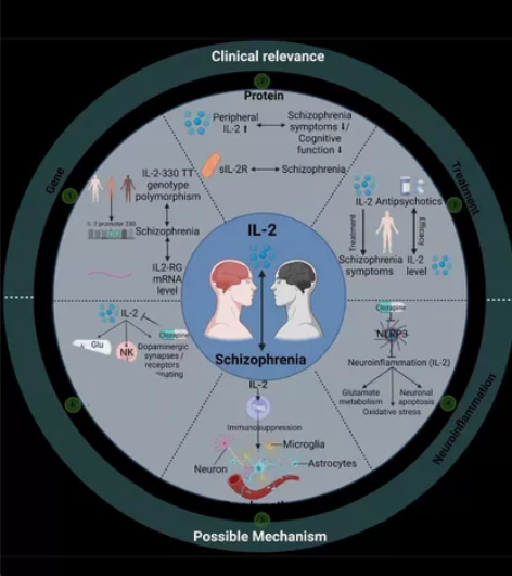 网络安全相关问题咨询，包含渗透测试、基础代...