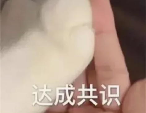 【大学生期末辅导，科科过过过！】 大学期末...