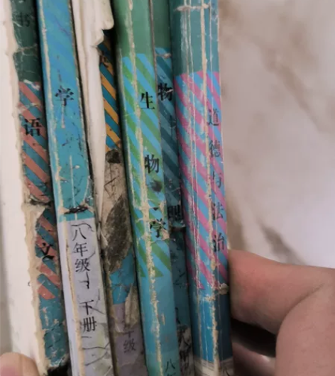 八年级道德与法治下册人教版初二下册道德与法...