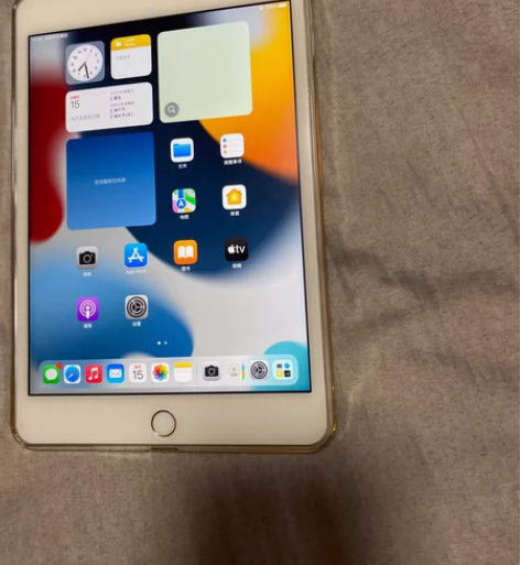 闲置平板 iPad mini 4     ...
