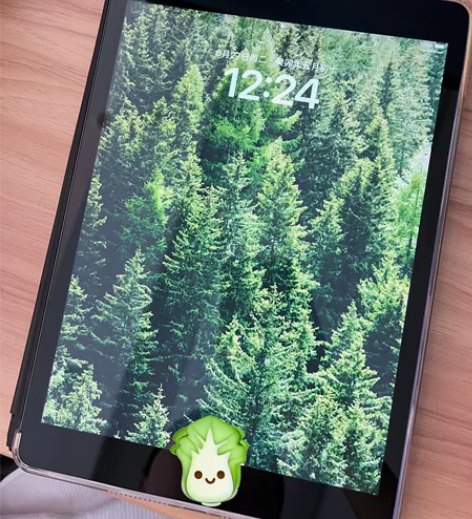 iPad2019，128g，灰色 2020...