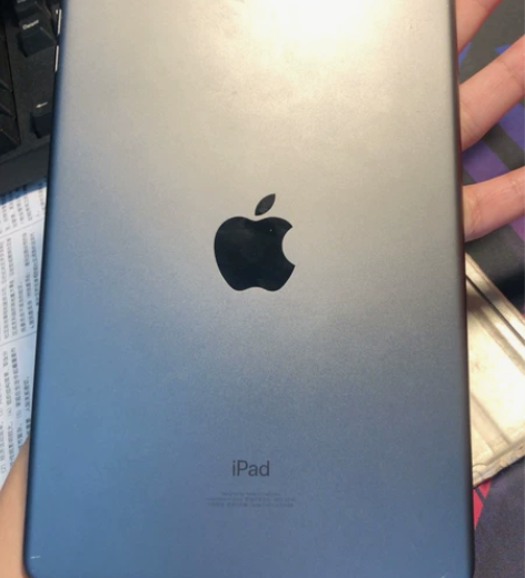 Apple/苹果 iPad mini5 2...