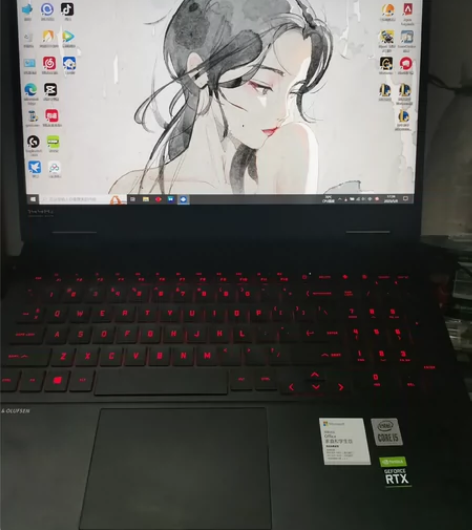 ?本人自用暗影精灵6游戏本，因特尔i5-1...