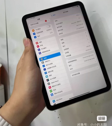 Apple/苹果 iPad mini6 2...